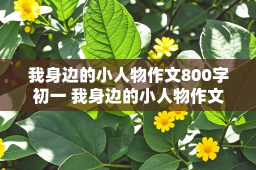 我身边的小人物作文800字初一 我身边的小人物作文800字初一环卫工人