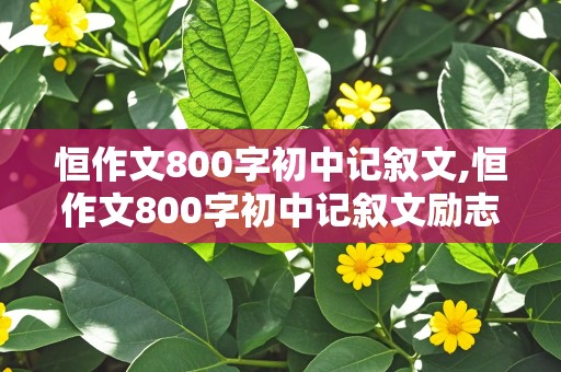 恒作文800字初中记叙文,恒作文800字初中记叙文励志类