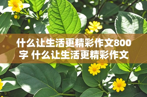 什么让生活更精彩作文800字 什么让生活更精彩作文800字七年级