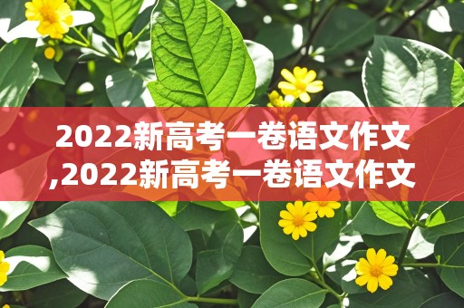 2022新高考一卷语文作文,2022新高考一卷语文作文题目