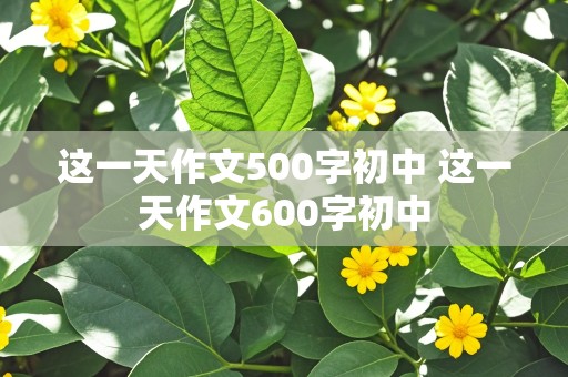 这一天作文500字初中 这一天作文600字初中