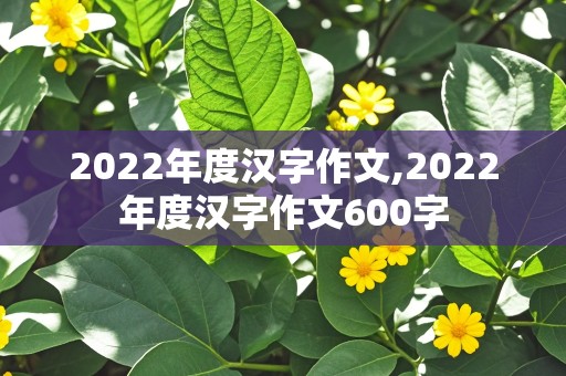 2022年度汉字作文,2022年度汉字作文600字