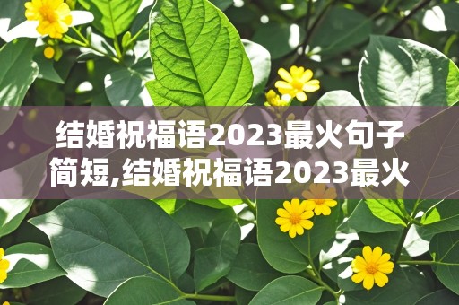 结婚祝福语2023最火句子简短,结婚祝福语2023最火句子简短送上遥远的地方结婚祝福语