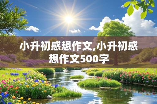 小升初感想作文,小升初感想作文500字