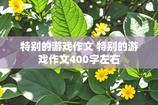 特别的游戏作文 特别的游戏作文400字左右