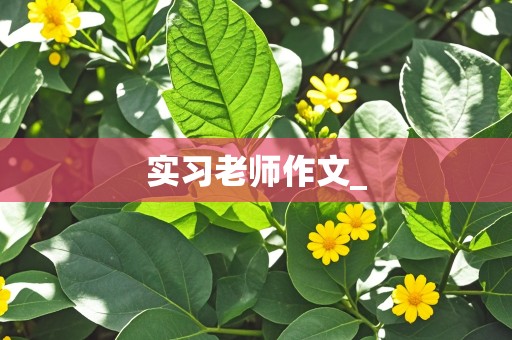 实习老师作文_