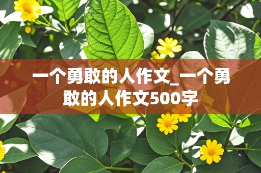 一个勇敢的人作文_一个勇敢的人作文500字