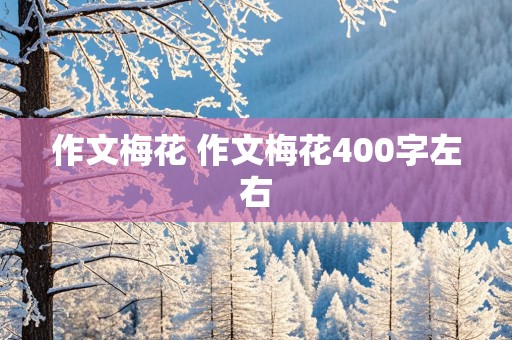 作文梅花 作文梅花400字左右