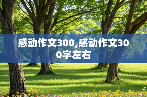 感动作文300,感动作文300字左右