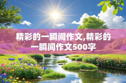 精彩的一瞬间作文,精彩的一瞬间作文500字