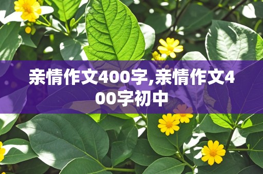 亲情作文400字,亲情作文400字初中