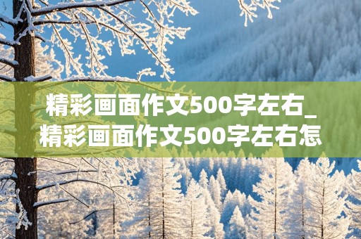 精彩画面作文500字左右_精彩画面作文500字左右怎么写