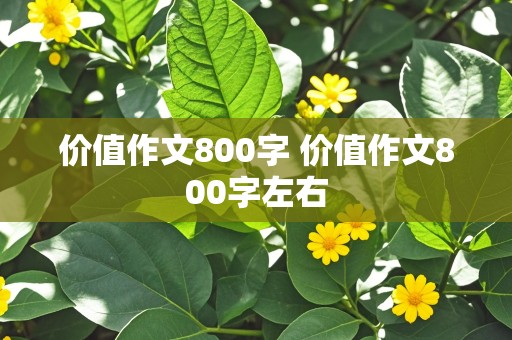 价值作文800字 价值作文800字左右