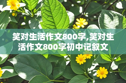 笑对生活作文800字,笑对生活作文800字初中记叙文