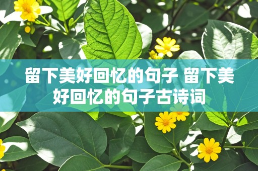 留下美好回忆的句子 留下美好回忆的句子古诗词