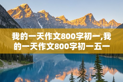 我的一天作文800字初一,我的一天作文800字初一五一假期