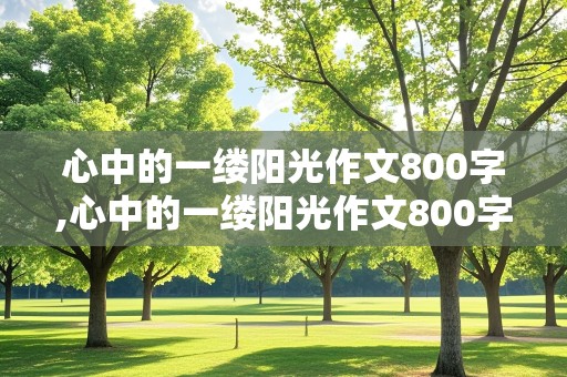 心中的一缕阳光作文800字,心中的一缕阳光作文800字初中