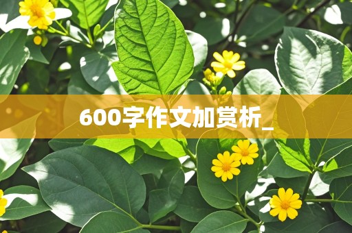 600字作文加赏析_