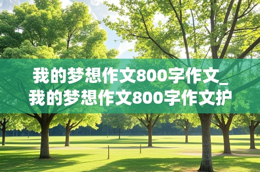 我的梦想作文800字作文_我的梦想作文800字作文护士