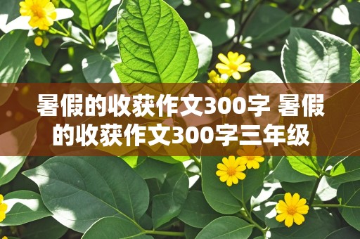 暑假的收获作文300字 暑假的收获作文300字三年级