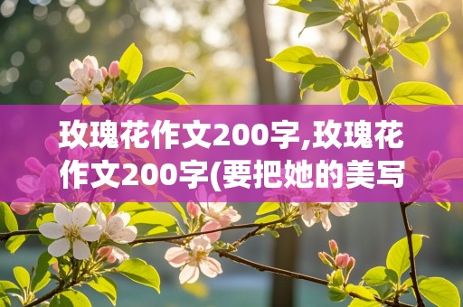 玫瑰花作文200字,玫瑰花作文200字(要把她的美写出来)