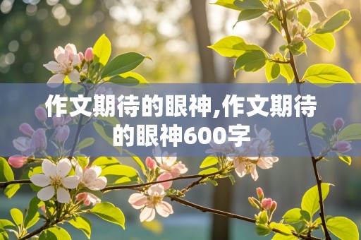 作文期待的眼神,作文期待的眼神600字