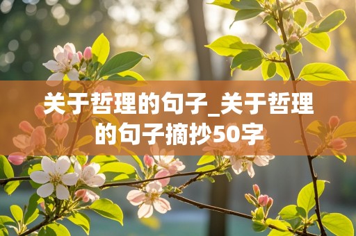 关于哲理的句子_关于哲理的句子摘抄50字