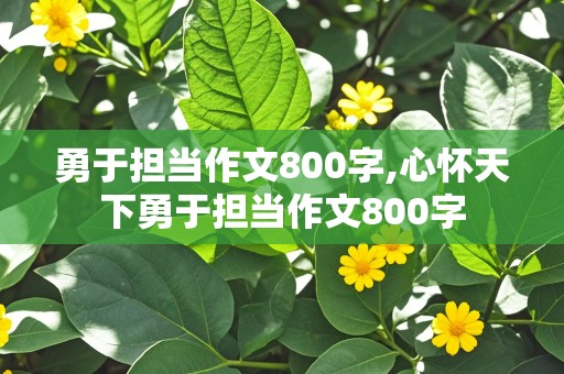 勇于担当作文800字,心怀天下勇于担当作文800字