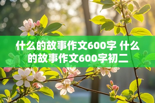 什么的故事作文600字 什么的故事作文600字初二