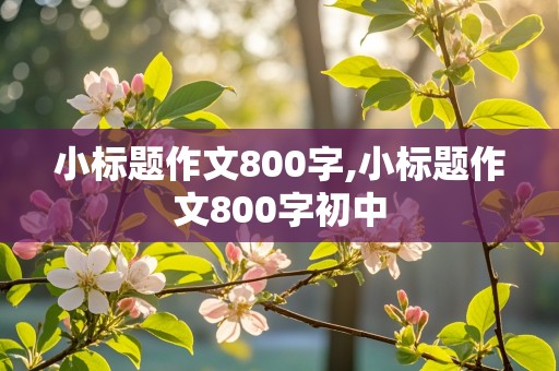 小标题作文800字,小标题作文800字初中