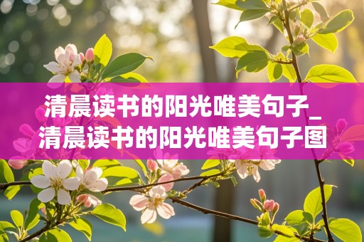 清晨读书的阳光唯美句子_清晨读书的阳光唯美句子图片