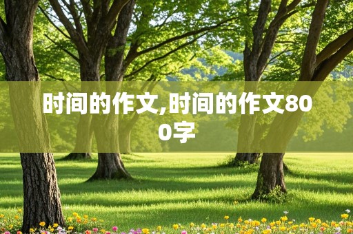 时间的作文,时间的作文800字