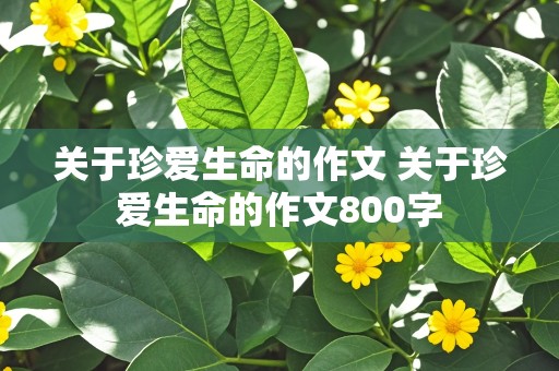 关于珍爱生命的作文 关于珍爱生命的作文800字