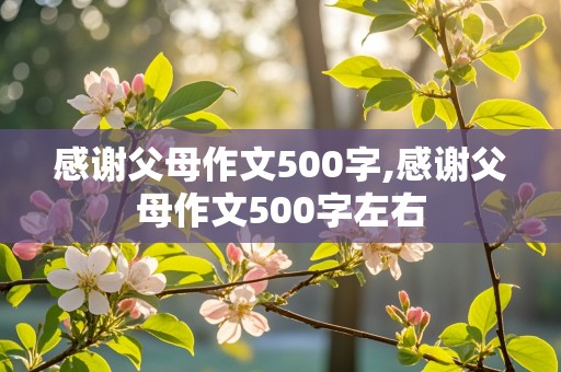 感谢父母作文500字,感谢父母作文500字左右