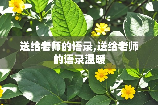 送给老师的语录,送给老师的语录温暖