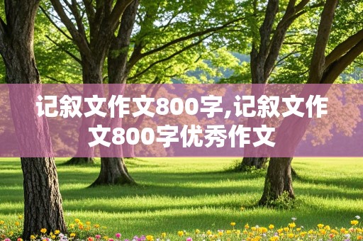 记叙文作文800字,记叙文作文800字优秀作文