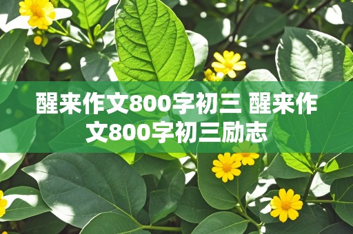 醒来作文800字初三 醒来作文800字初三励志