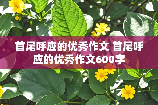 首尾呼应的优秀作文 首尾呼应的优秀作文600字