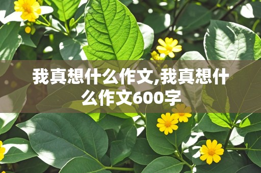 我真想什么作文,我真想什么作文600字