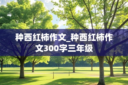 种西红柿作文_种西红柿作文300字三年级