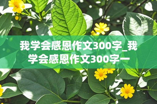 我学会感恩作文300字_我学会感恩作文300字一