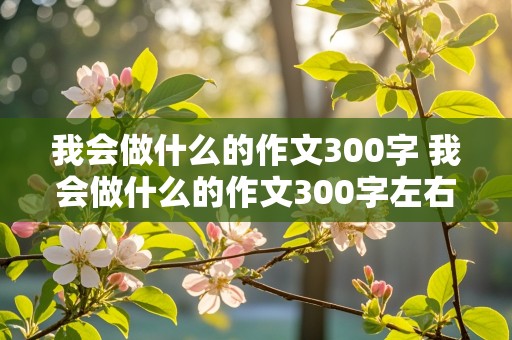 我会做什么的作文300字 我会做什么的作文300字左右