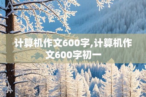 计算机作文600字,计算机作文600字初一