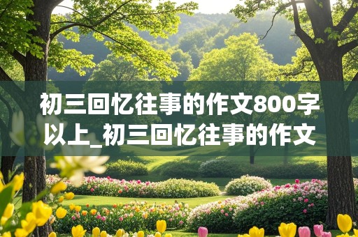 初三回忆往事的作文800字以上_初三回忆往事的作文800字以上怎么写