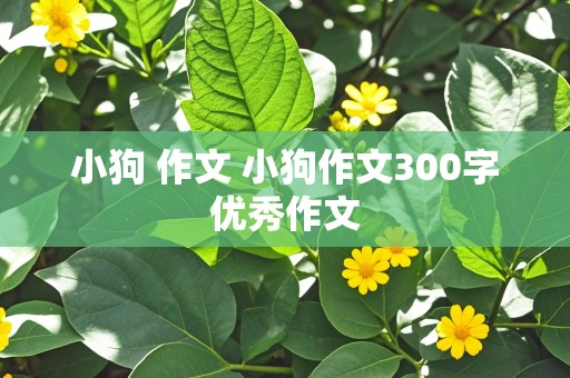 小狗 作文 小狗作文300字优秀作文