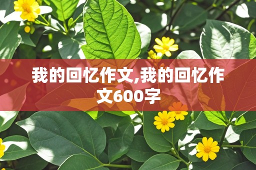 我的回忆作文,我的回忆作文600字