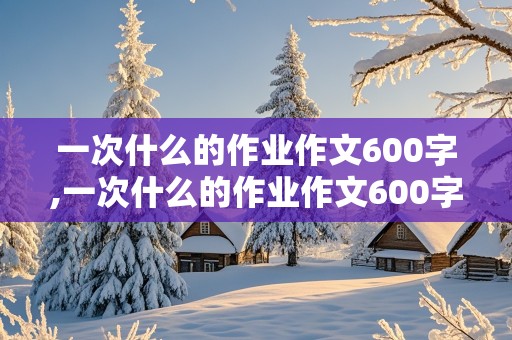 一次什么的作业作文600字,一次什么的作业作文600字左右