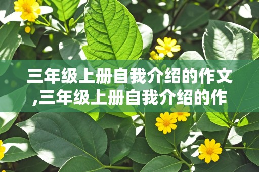 三年级上册自我介绍的作文,三年级上册自我介绍的作文怎么写