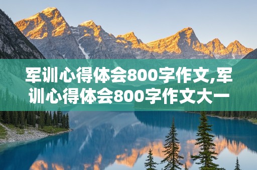 军训心得体会800字作文,军训心得体会800字作文大一