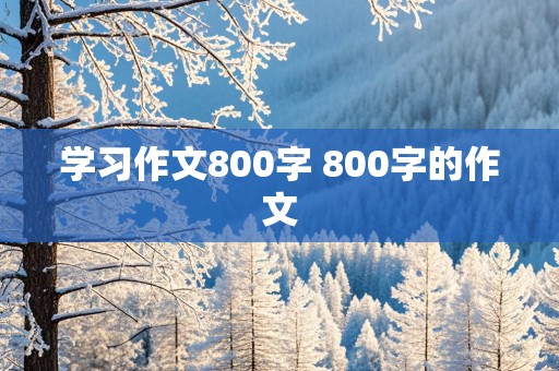 学习作文800字 800字的作文